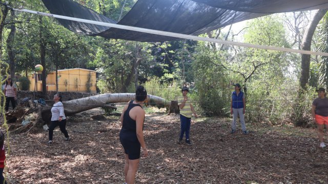 Encuentro en Movimiento 2026