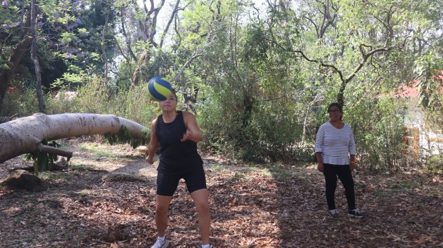 Encuentro en Movimiento 2026