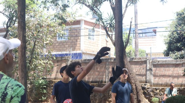 Encuentro en Movimiento 2026