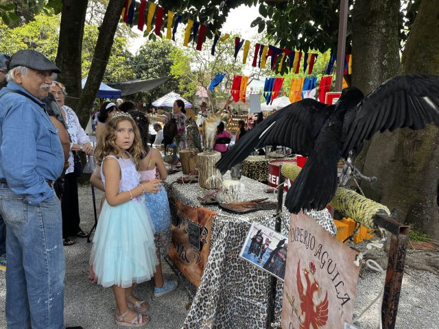 Festival Medieval 2025