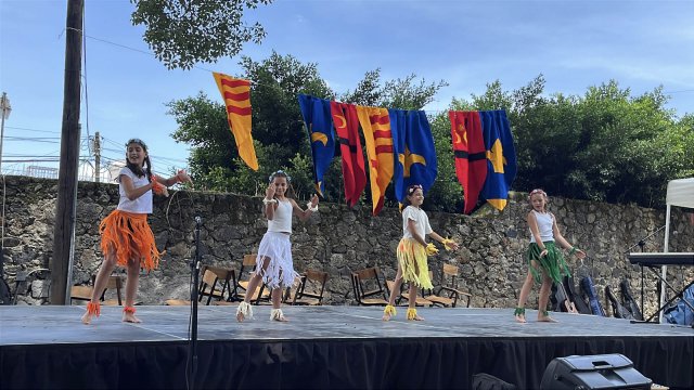 Festival Medieval 2025
