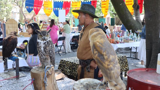 Festival Medieval 2025