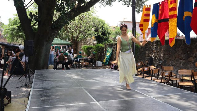 Festival Medieval 2025