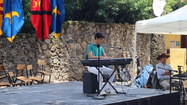 Festival Medieval 2025