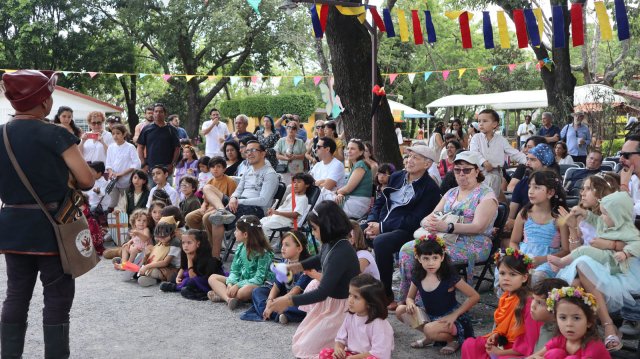 Festival Medieval 2025