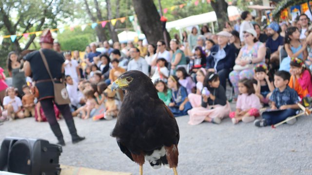 Festival Medieval 2025