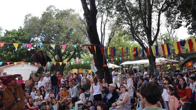 Festival Medieval 2025