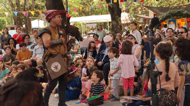 Festival Medieval 2025
