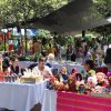 Festival Medieval 2025