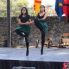 Festival Medieval 2025
