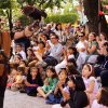 Festival Medieval 2025