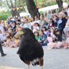 Festival Medieval 2025